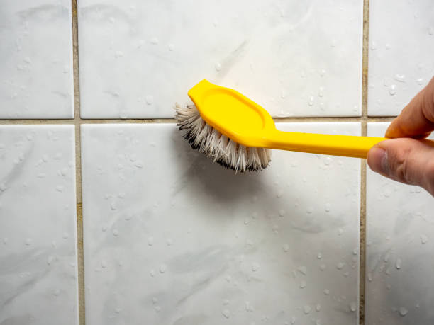 Mold Removal and Inspection in Ossun, LA
