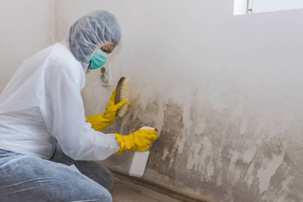 Crawl Space Mold Removal in Ossun, LA