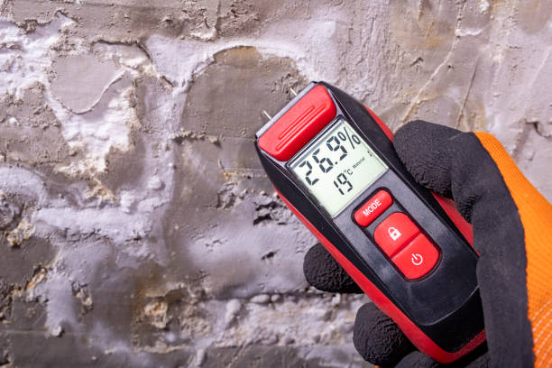 Best Toxic Mold Removal  in Ossun, LA