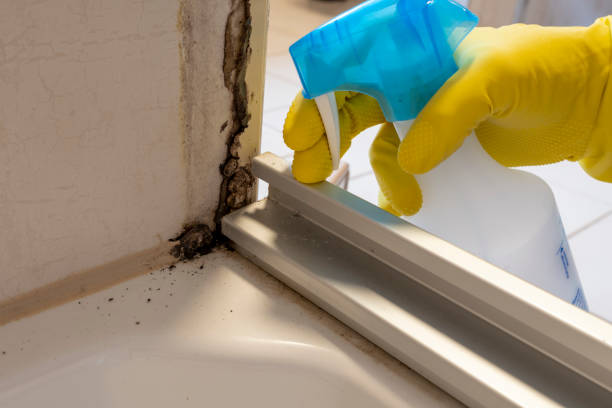 Best Mold Removal and Inspection  in Ossun, LA