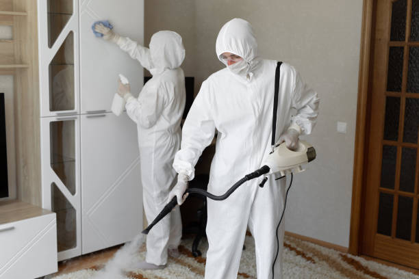 Best Residential Mold Removal  in Ossun, LA