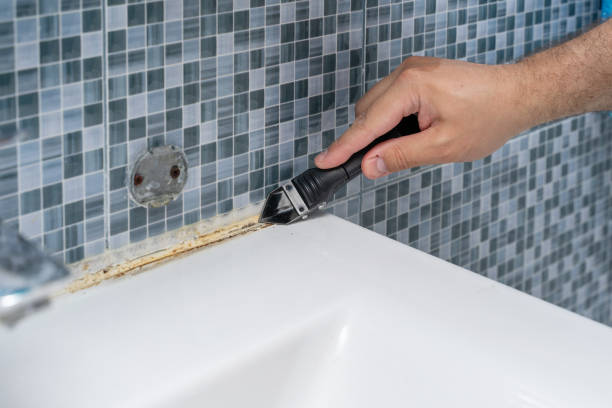 Best Certified Mold Removal  in Ossun, LA