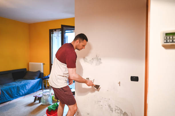 Best Certified Mold Removal  in Ossun, LA